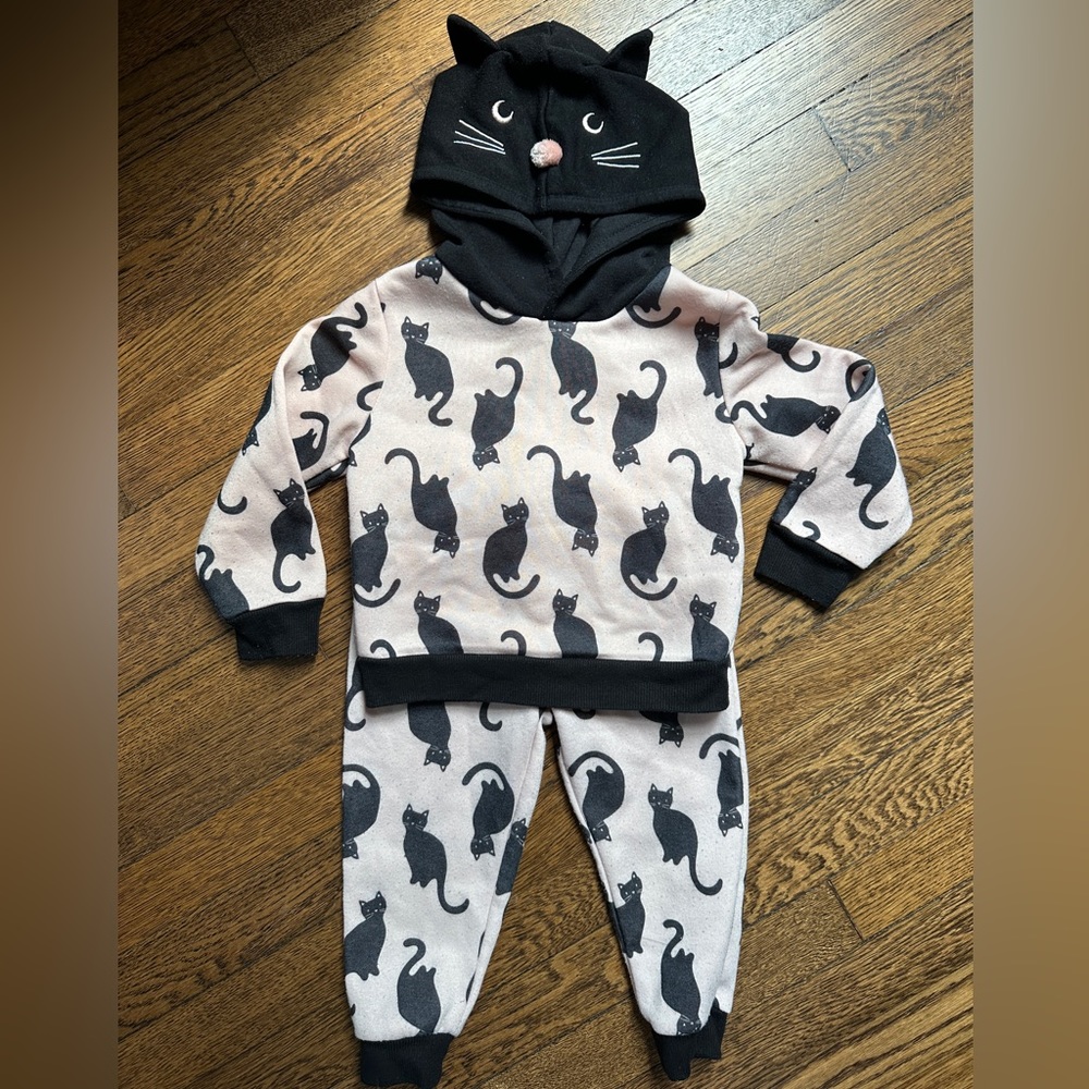 Black cat sweatsuit set (2T)
